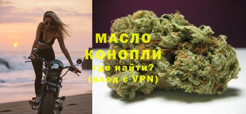 маркетплейс наркотические препараты  Канаш  Дистиллят ТГК THC oil  omg как войти 